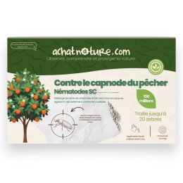 Nématodes SC contre capnode du pêcher - 100 millions - 20 arbres