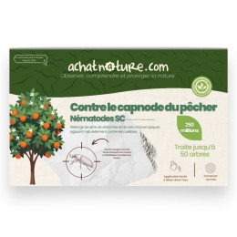 Nématodes SC contre capnode du pêcher - 250 millions - 50 arbres
