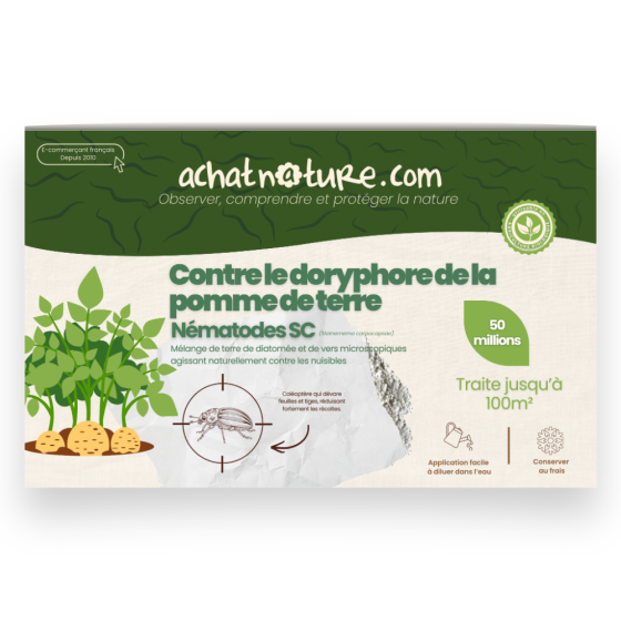Nématodes SC contre doryphore de la pomme de terre - 50 millions - 100 m²