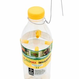 Kit attractif CERATINEX® contre les mouches des fruits