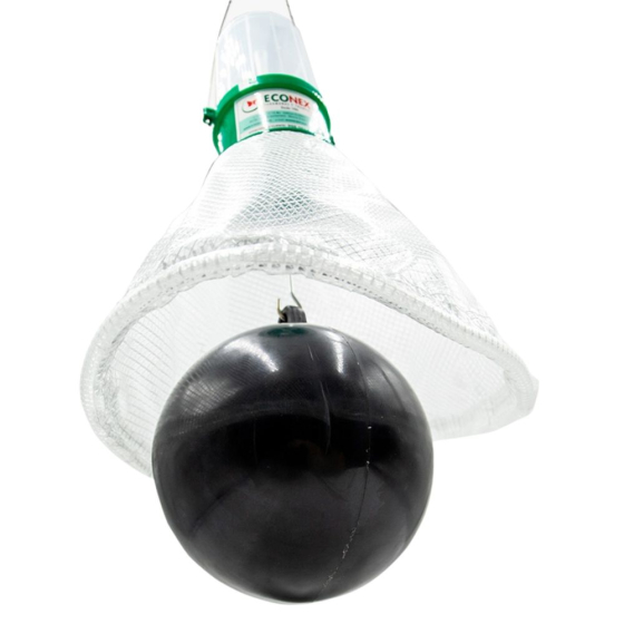 Piège contre les taons