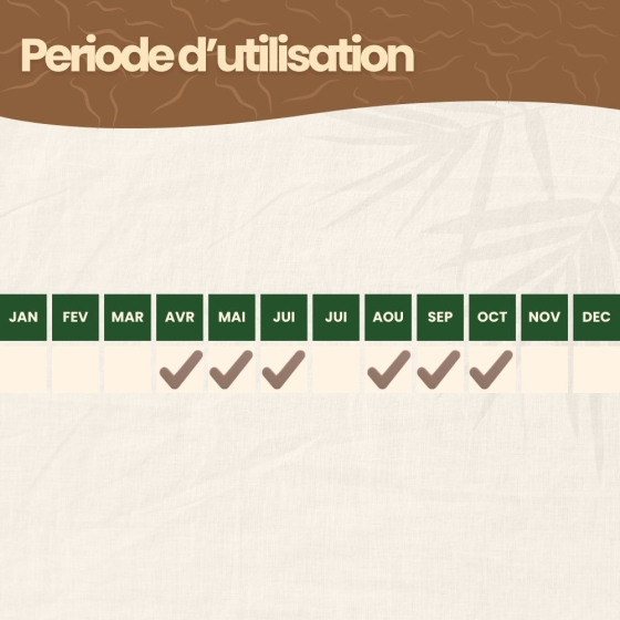 Nématodes HB contre vers blancs et hannetons - 3 millions - 6 m²