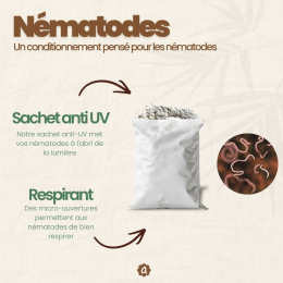 Nématodes SF contre mouches des terreaux - 5 millions - 25 pots
