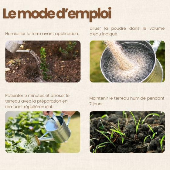 Nématodes SF contre thrips - 100 millions - 200 m²