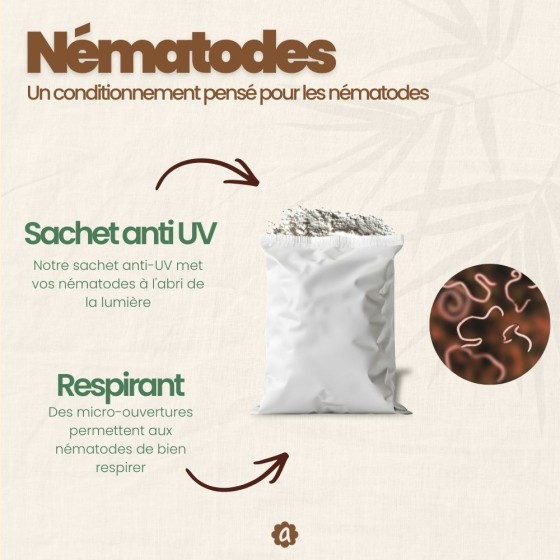 Nématodes SC contre charançon rouge du palmier - 25 millions - 1 à 2 palmiers