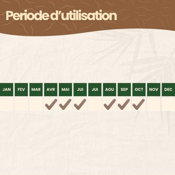 Nématodes HB contre vers blancs ethannetons - 250 millions - 500 m²
