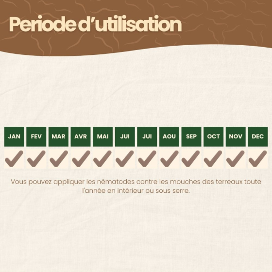 Nématodes SF contre mouches des terreaux - 50 millions - 100 m²