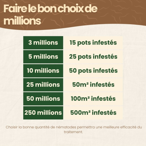 Nématodes SF contre mouches des terreaux - 50 millions - 100 m²