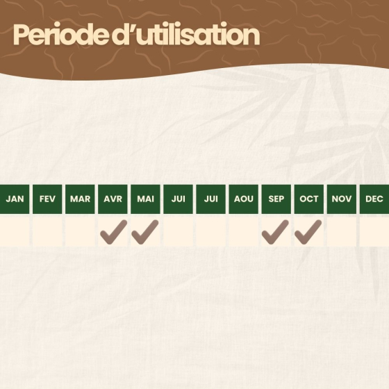 Nématodes HB contre otiorhynques - 3 millions - 6 arbustes