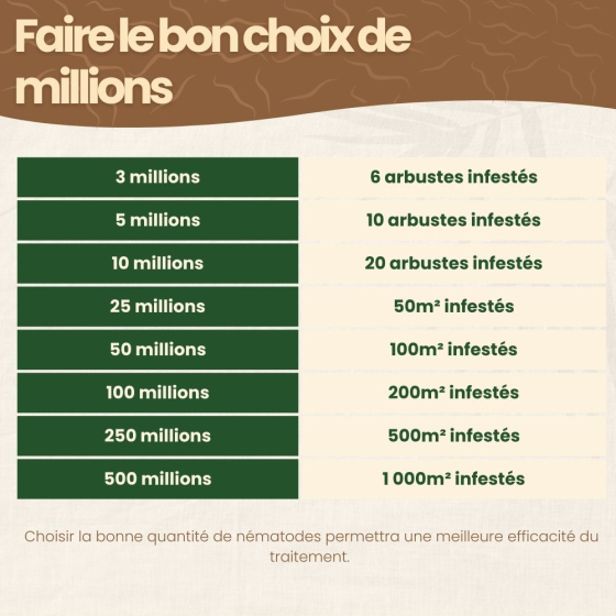 Nématodes HB contre otiorhynques - 500 millions - 1000 m²
