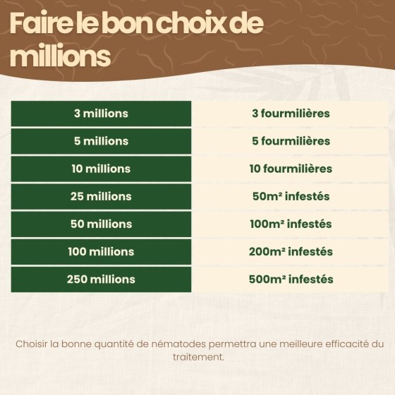 Nématodes SF contre fourmis - 10 millions - 10 fourmilières
