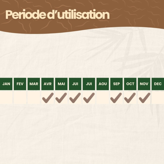 Nématodes SF contre carpocapses de la pomme, poire et noix - 250M - 100 arbres