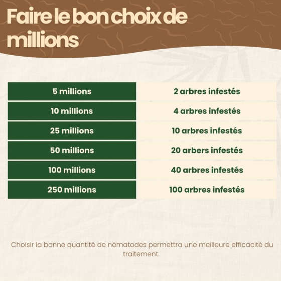 Nématodes SF contre carpocapses de la pomme, poire et noix - 250M - 100 arbres