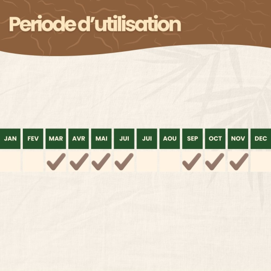 Nématodes SC contre charançon rouge du palmier - 25 millions - 1 à 2 palmiers