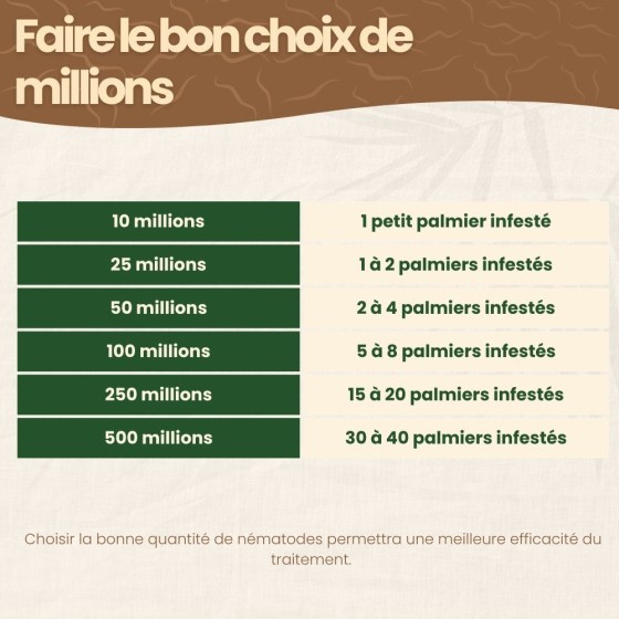 Nématodes SC contre charançon rouge du palmier - 250 millions - 15 à 20 palmiers