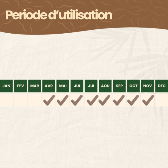 Nématodes SC contre pyrale du buis - 500 millions - 500 mètres de haie