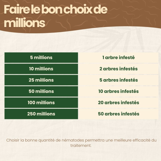 Nématodes SC contre capnode du pêcher - 10 millions - 2 arbres