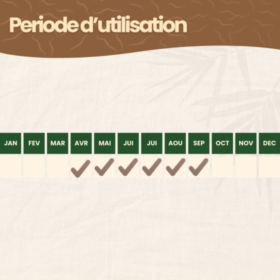 Nématodes SC contre doryphore de la pomme de terre - 5 millions - 10 m²