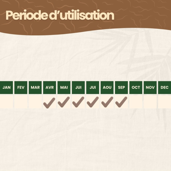 Nématodes SC contre doryphore de la pomme de terre - 100 millions - 200 m²
