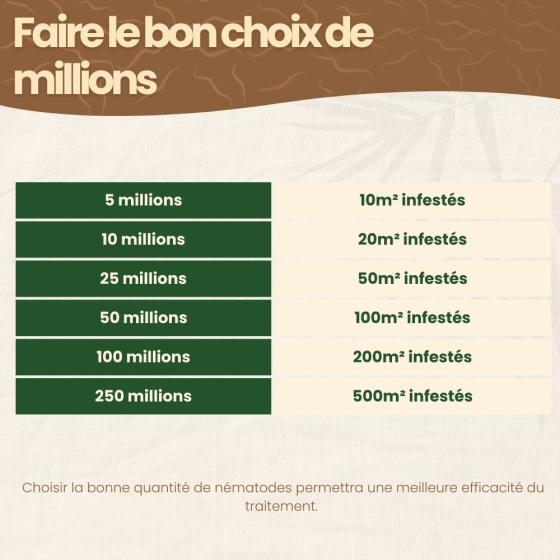 Nématodes SC contre doryphore de la pomme de terre - 250 millions - 500 m²