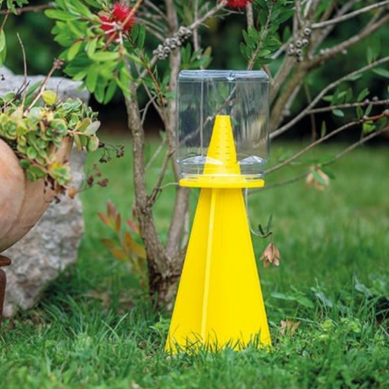 CYMATRAP - recharge pour piège à punaises diaboliques (1+1)