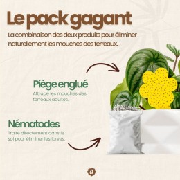 Nématodes SF contre mouches des terreaux (3 millions) + 10x pièges jaunes