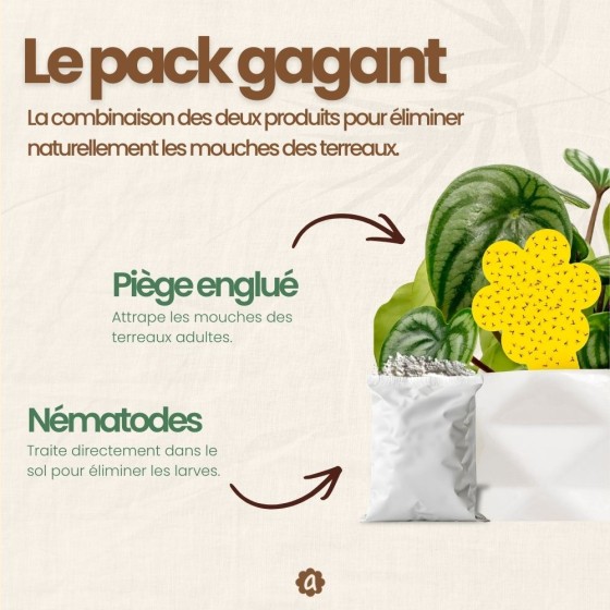 Nématodes SF contre mouches des terreaux (3 millions) + 10x pièges jaunes