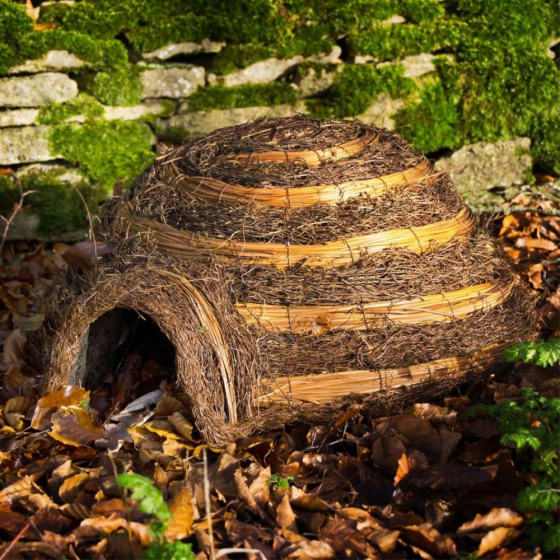 Gites à hérisson Igloo