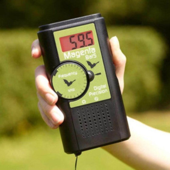 Détecteur à ultrasons BAT5 pour Chauve souris