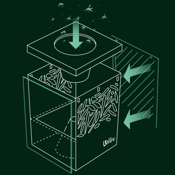Pièges X2 anti-pontes Ovi by Wiliv