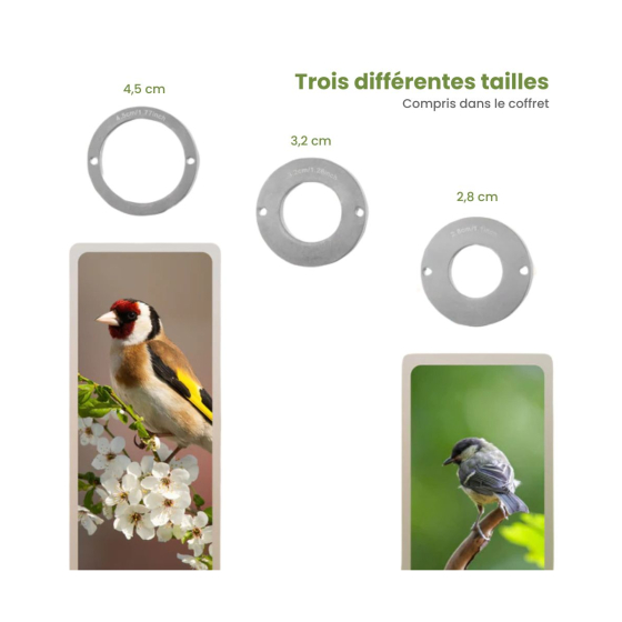 Nichoir camouflage connectée EZ Nesteye - Seconde vie