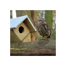 Nichoir chevêche d'athéna - Seconde vie