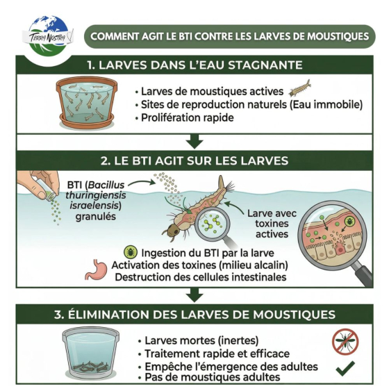 Larvicide anti-moustiques - Pot de 500 g