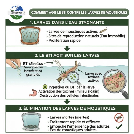 Larvicide anti-moustiques - Pot de 500 g