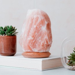 Lampe cristal de sel 2-3 kg avec socle en bois