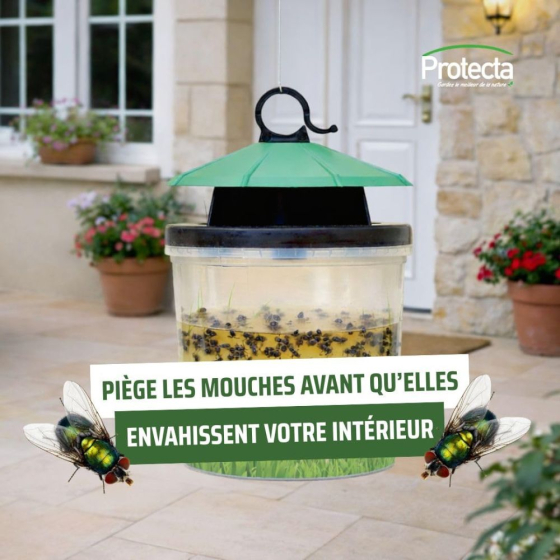 Boîte à mouches : piège écologique