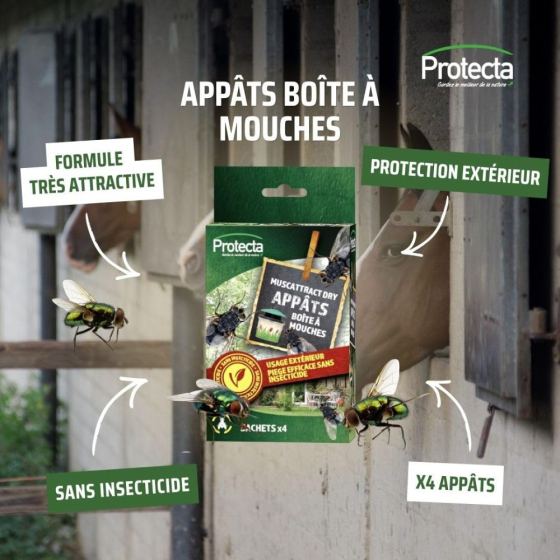 Boîte à mouches : piège écologique
