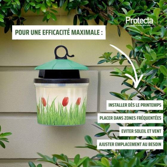 Boîte à mouches : piège écologique