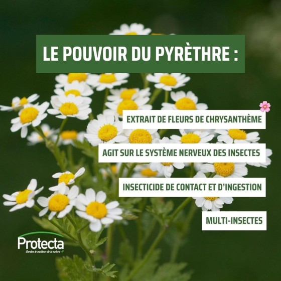 Diffuseur automatique d’insecticides + 3 recharges