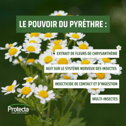 Lot de 5 recharges pour diffuseur d'insecticides