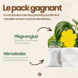 Nématodes SF contre mouches des terreaux (5 millions) + 10x pièges jaunes