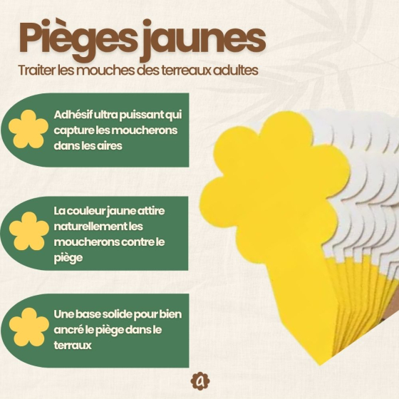 Nématodes SF contre mouches des terreaux (5 millions) + 10x pièges jaunes
