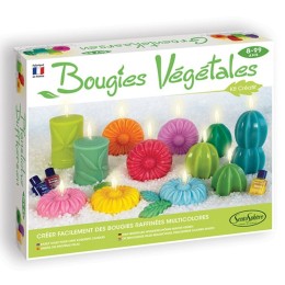 Coffret Bougies végétales
