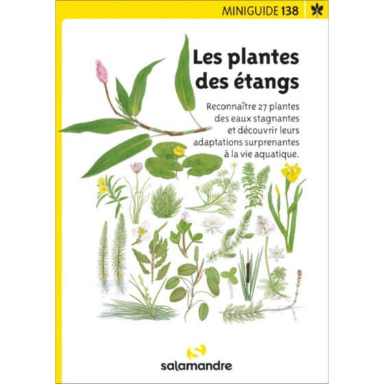 Miniguide 138 - Les plantes des étangs