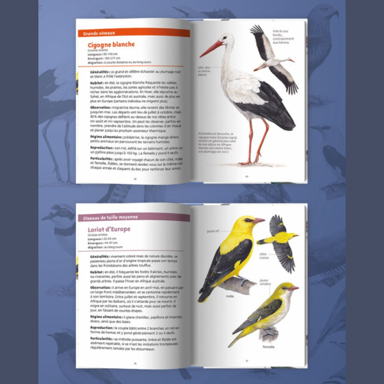 Les petits livres de la nature - Oiseaux migrateurs