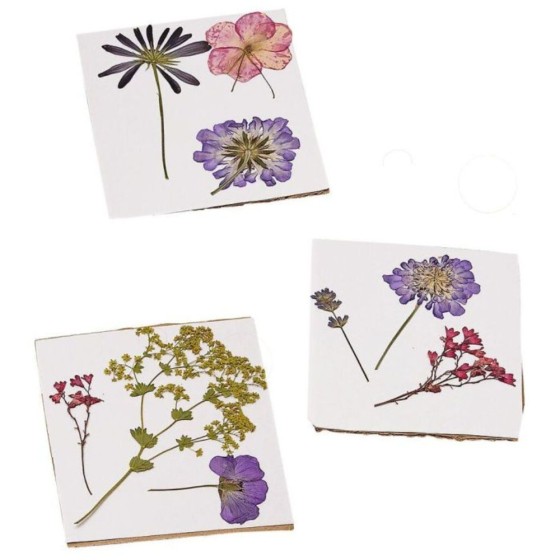 Presse à feuilles et fleurs