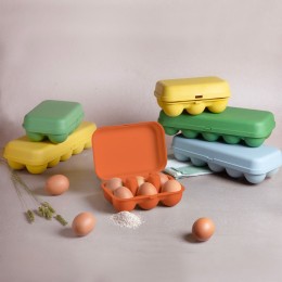 Boîte 6 oeufs coquille Abricot