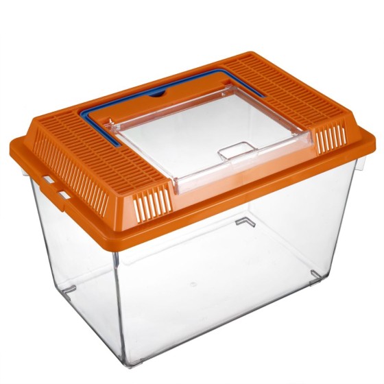 Kit de Découverte nature pour enfant