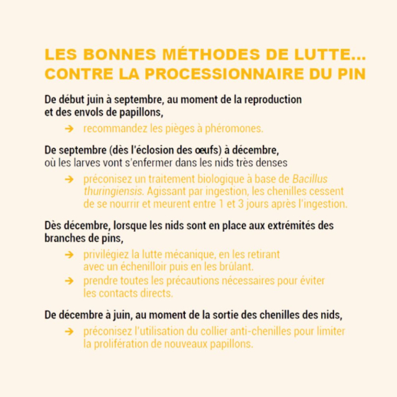 Piège à processionnaire du pin, phéromones incluses