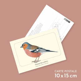 Pinson des arbres - Carte postale pédagogique
